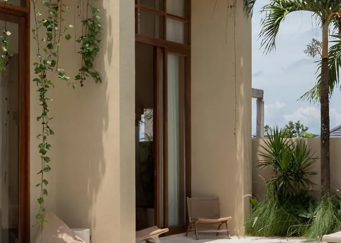 Lou - Tropical Private