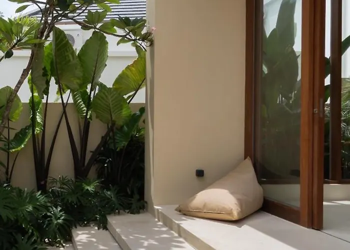 Lou - Tropical Private